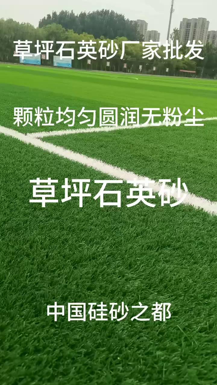 足球場草坪填充石英砂質(zhì)量執(zhí)行標(biāo)準(zhǔn)環(huán)保健康安全驗收合格 